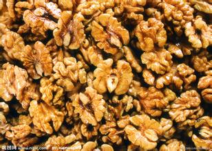 �����ĺ�����