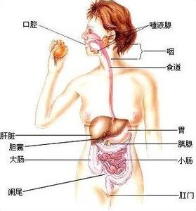 ��������ϵͳ